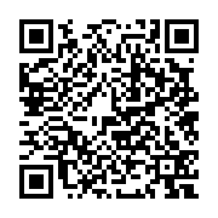 QR code for MJ20333