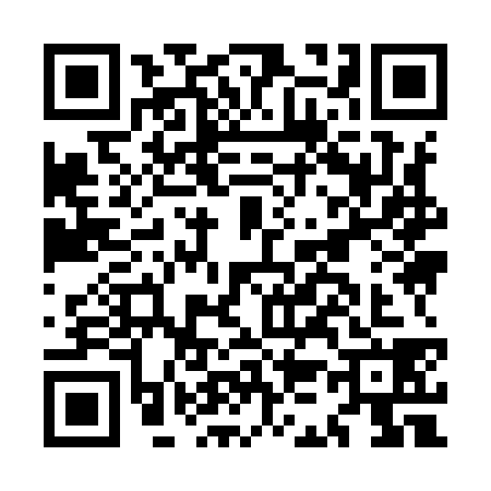 QR code for MK99385