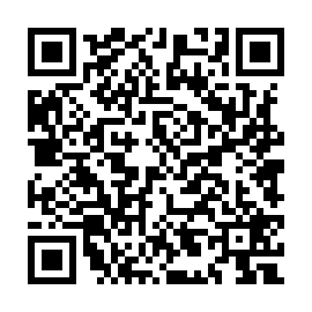 QR code for ML49295