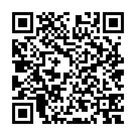 QR code for ML51382