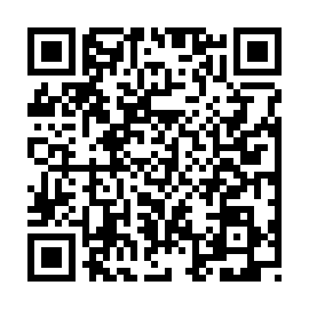 QR code for ML63384