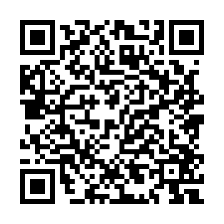 QR code for ML81463