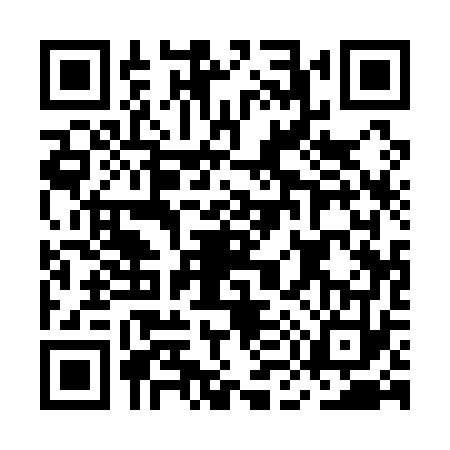 QR code for MM11733