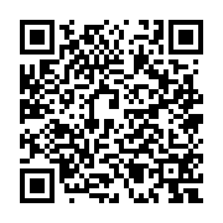 QR code for MM17541