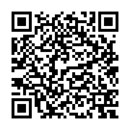 QR code for MN31333