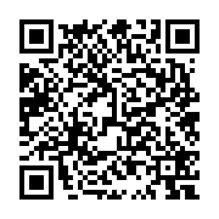 QR code for MP26295