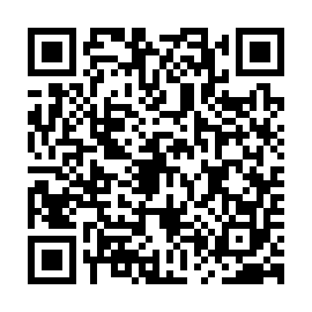 QR code for MP33529
