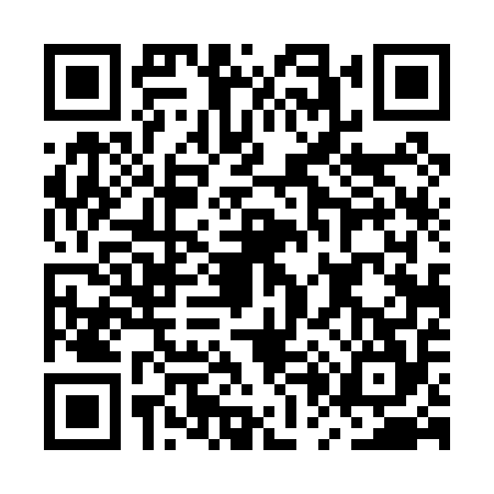 QR code for MP40541