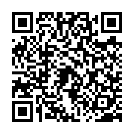 QR code for MP66485