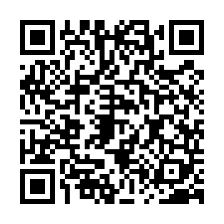 QR code for MP95491