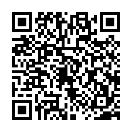 QR code for MS00369