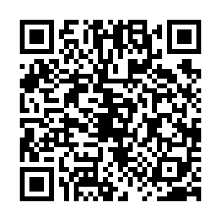 QR code for MS06596