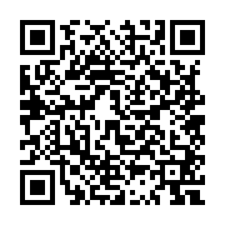 QR code for MS29409