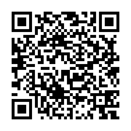 QR code for MS38382