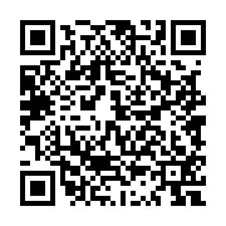 QR code for MS41138