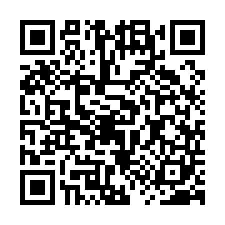 QR code for MS91416