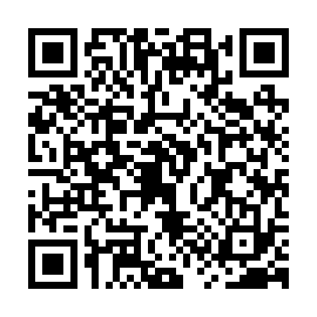 QR code for MS92334