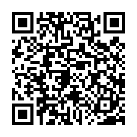 QR code for MT04234