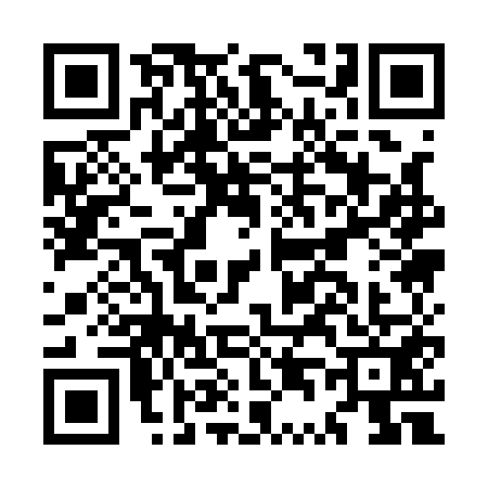 QR code for MT11510