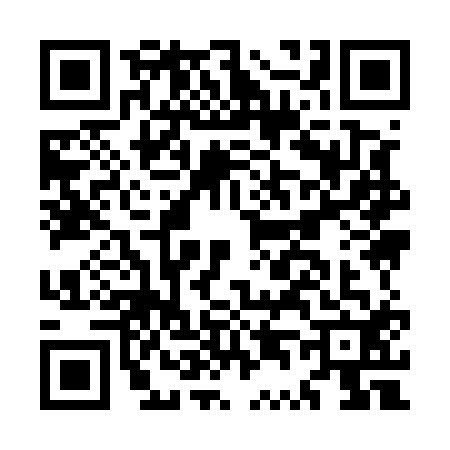 QR code for MT95125