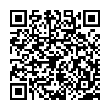 QR code for MV29160