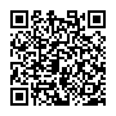 QR code for MV41383