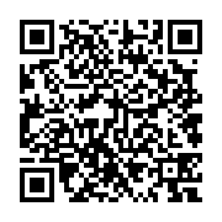 QR code for MY60383