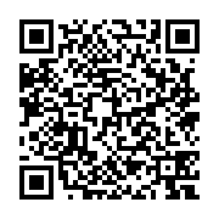 QR code for NA11383