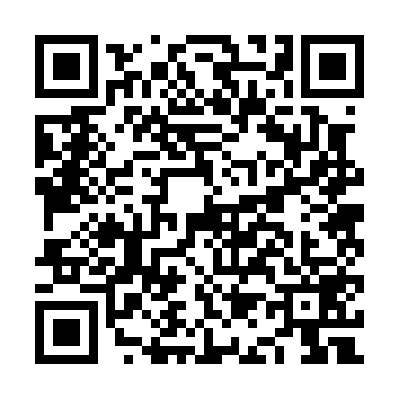 QR code for NA20595
