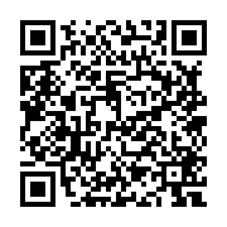 QR code for NA38496