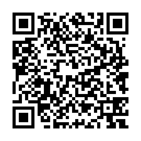 QR code for NA46384