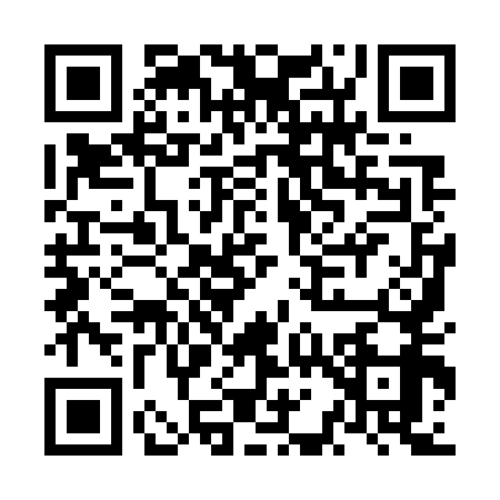 QR code for NA97595
