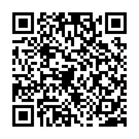 QR code for NE12382