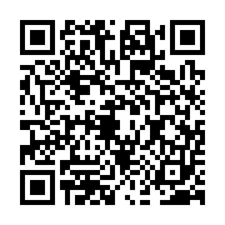 QR code for NE13538