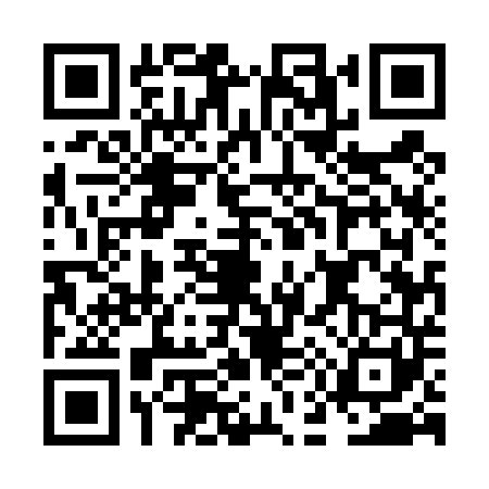 QR code for NE54411