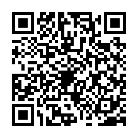 QR code for NF12317