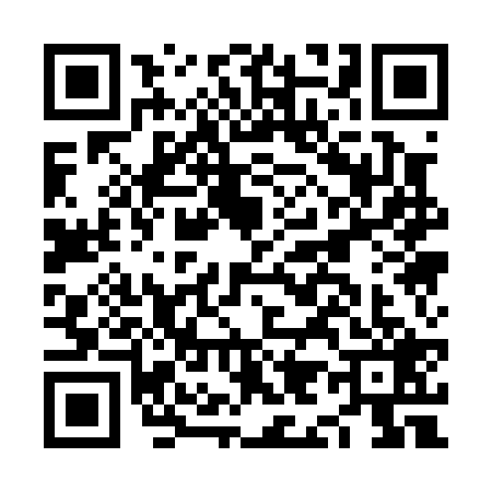 QR code for NI10295