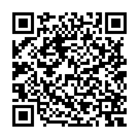 QR code for NI38069