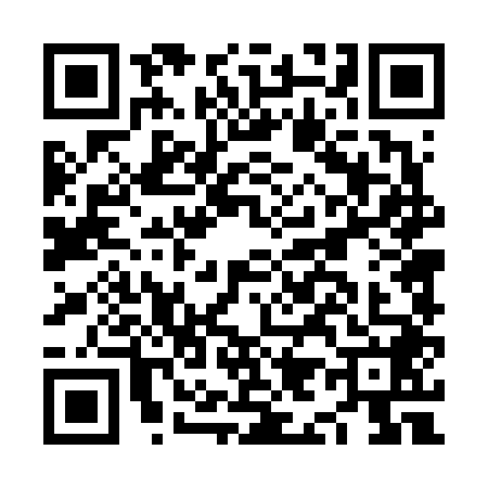 QR code for NI46481