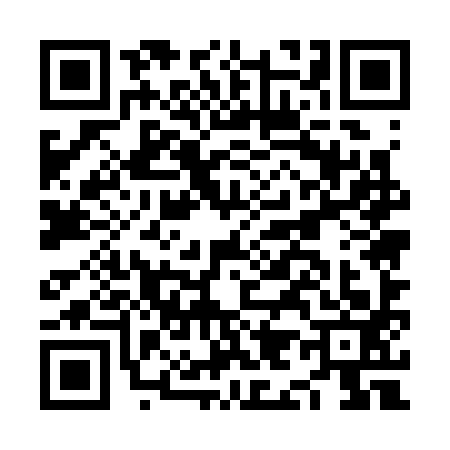 QR code for NI53934