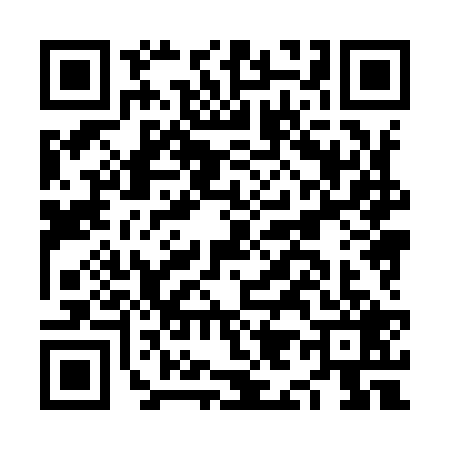QR code for NI89296