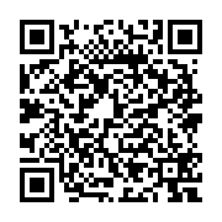 QR code for NI96198