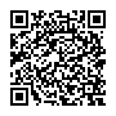 QR code for NI96447