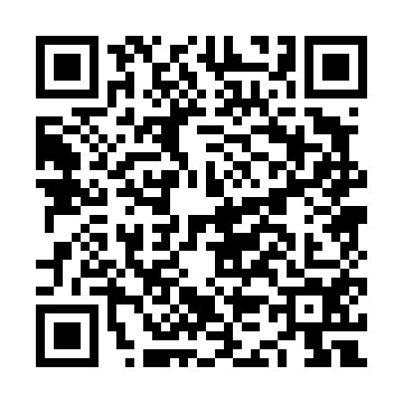 QR code for NK04543