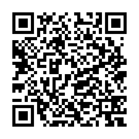 QR code for NK13393