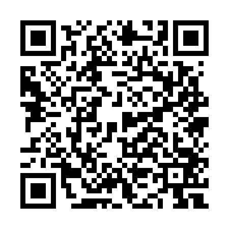 QR code for NK17437