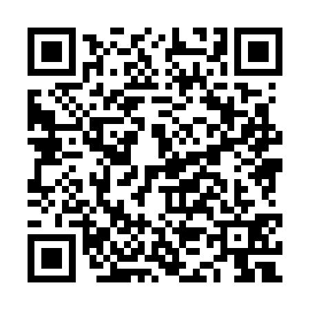 QR code for NK87311