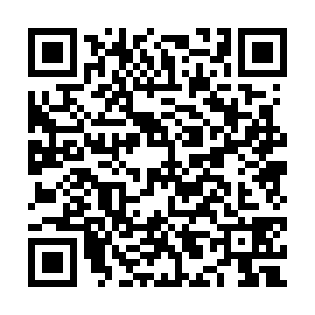 QR code for NL07381
