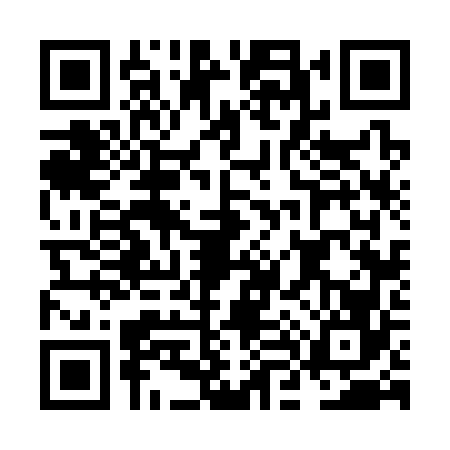 QR code for NL63661