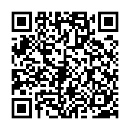 QR code for NL95256